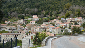 Désinsectisation dératisation Sevran